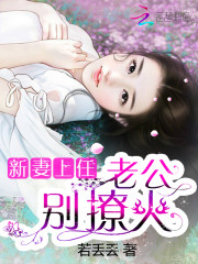 新妻上任：隱婚老公，要二胎小說