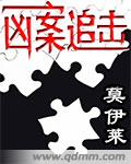 兇案追擊小說
