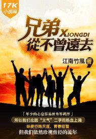 兄弟從不曾遠去小說