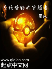 系統給錯的穿越者小說