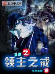 系統之領主之戒小說