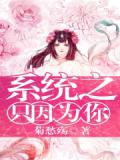 系統之只因爲你小說