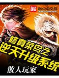 修真菜鳥之逆天升級系統小說