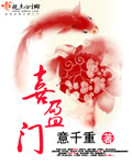 喜盈門小說