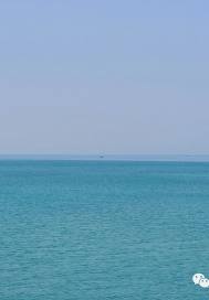 雪盡櫻散：無名小說