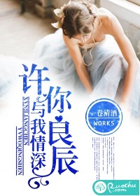 許你良辰，與我情深小說