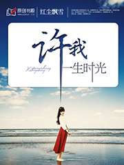 許我一生時光小說