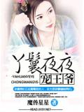 丫鬟夜夜寵王爺小說