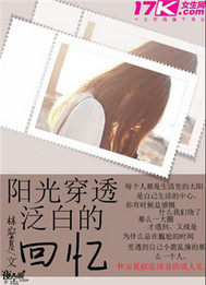 陽光穿透泛白的回憶小說