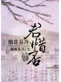 煙花易冷：君惜否小說