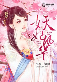 妖妃風華小說