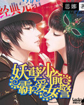 妖孽小偷霸愛女警小說