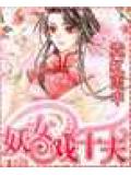 妖女戲十夫小說