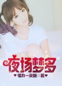 夜場夢多小說