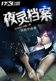夜靈檔案小說