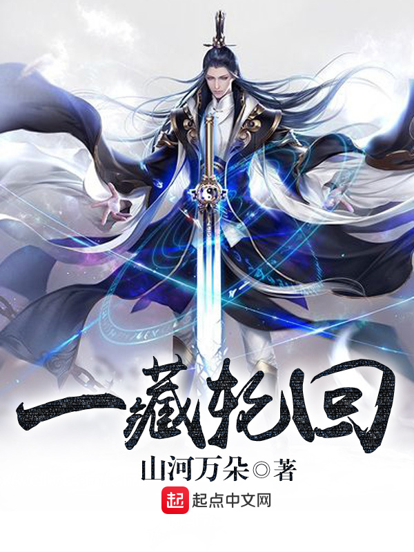一藏輪迴小說