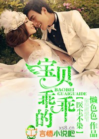醫塵不染,愛妻入骨小說