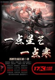 一點星芒一點寒小說