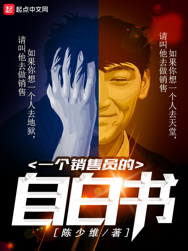 一個銷售員的自白書小說
