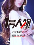 一號人物 - 君子有道小說