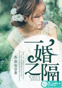 一婚之隔小說