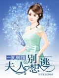 一見鍾情：夫人別想逃小說