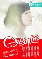 一見鍾魚小說
