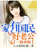 一嫁再嫁,家有國民好老公小說