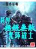 異界超級無敵光環戰士小說