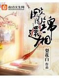醫錦還小說