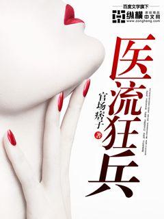 醫流狂兵小說