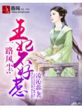 一路風塵：王妃不好惹小說