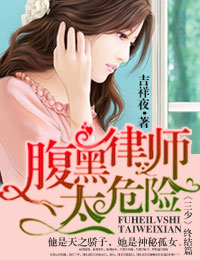 一路上有你,律師老公太危險小說