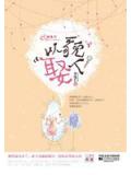 以貌娶人小說