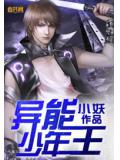 異能少年王小說