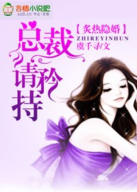 隱婚，總裁請淡定小說