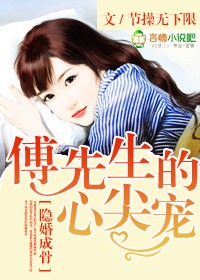 隱婚成骨，傅先生的心尖寵小說