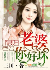 隱婚老公，老婆你好！小說