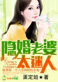 隱婚老婆，太迷人小說