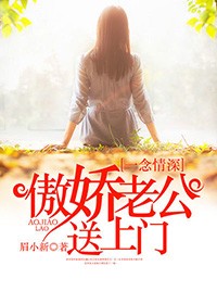 一念情深：傲嬌老公送上門小說