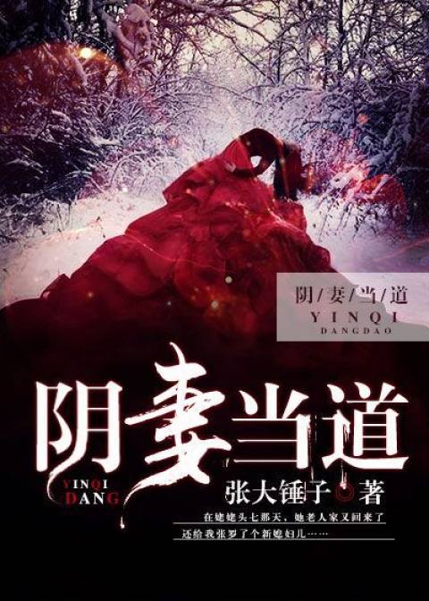 陰妻當道小說
