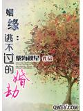 姻緣：逃不過的婚劫小說