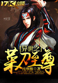 異世之菜刀至尊小說