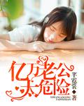 億萬老公太危險小說