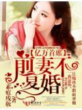億萬首席,前妻不復婚小說