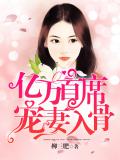 億萬首席寵妻入骨小說