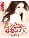 億萬隱婚:高冷總裁追妻99天小說