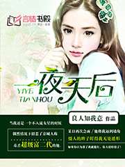 一夜天后小說
