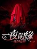一夜陰緣小說