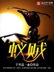 蟻賊小說